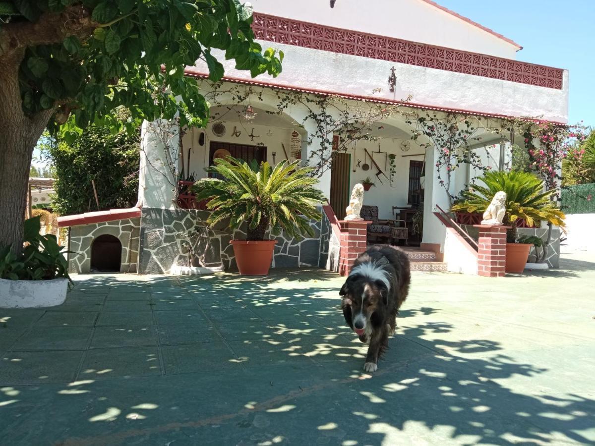 Casa Rural Cal Josefina & Tomas La Riera  Extérieur photo